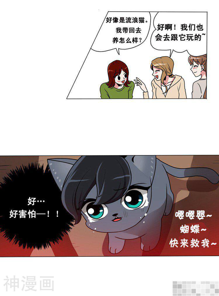 拜托猫咪韩漫全集-第33话无删减无遮挡章节图片 