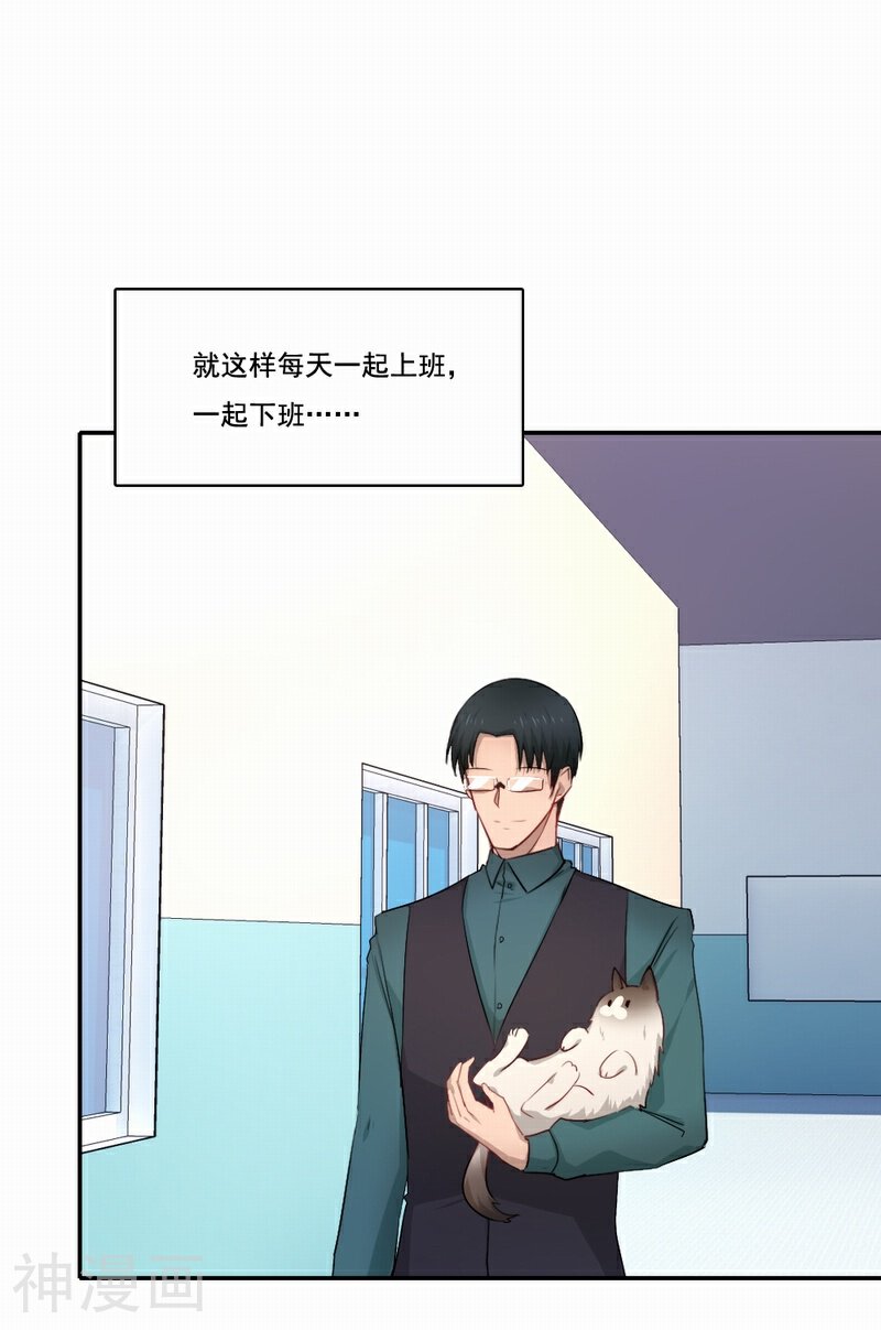倒数七天韩漫全集-第59话 新晋猫奴无删减无遮挡章节图片 