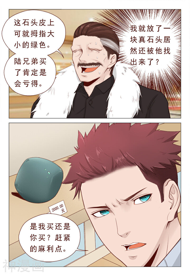妙手天医在都市韩漫全集-第21话 精心准备的假玉石无删减无遮挡章节图片 