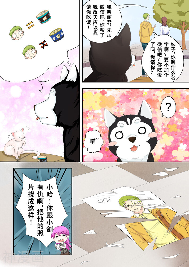 没白活韩漫全集-第2话 多面的杨小剑无删减无遮挡章节图片 