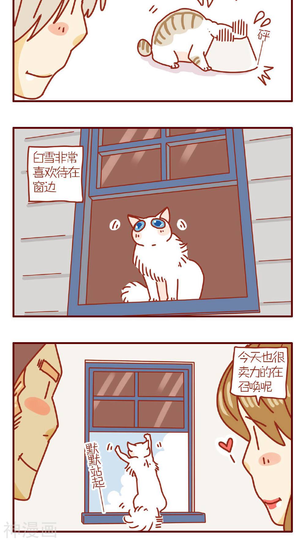 猫咪甜品屋-第102话全彩韩漫标签