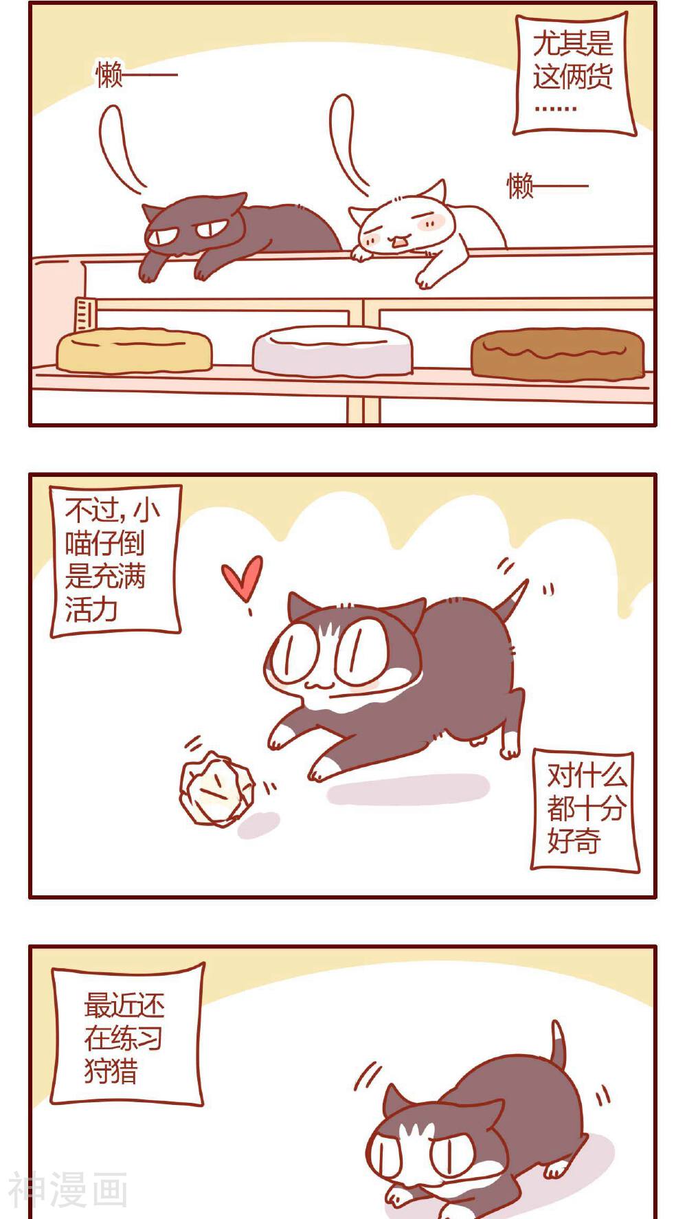 猫咪甜品屋-第12话全彩韩漫标签