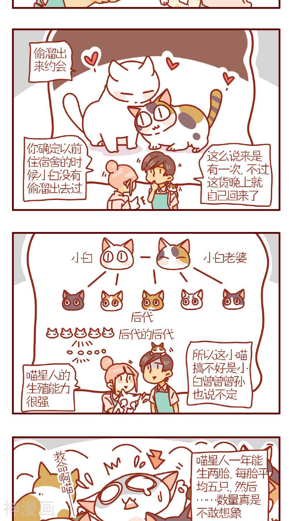 猫咪甜品屋-第173话全彩韩漫标签