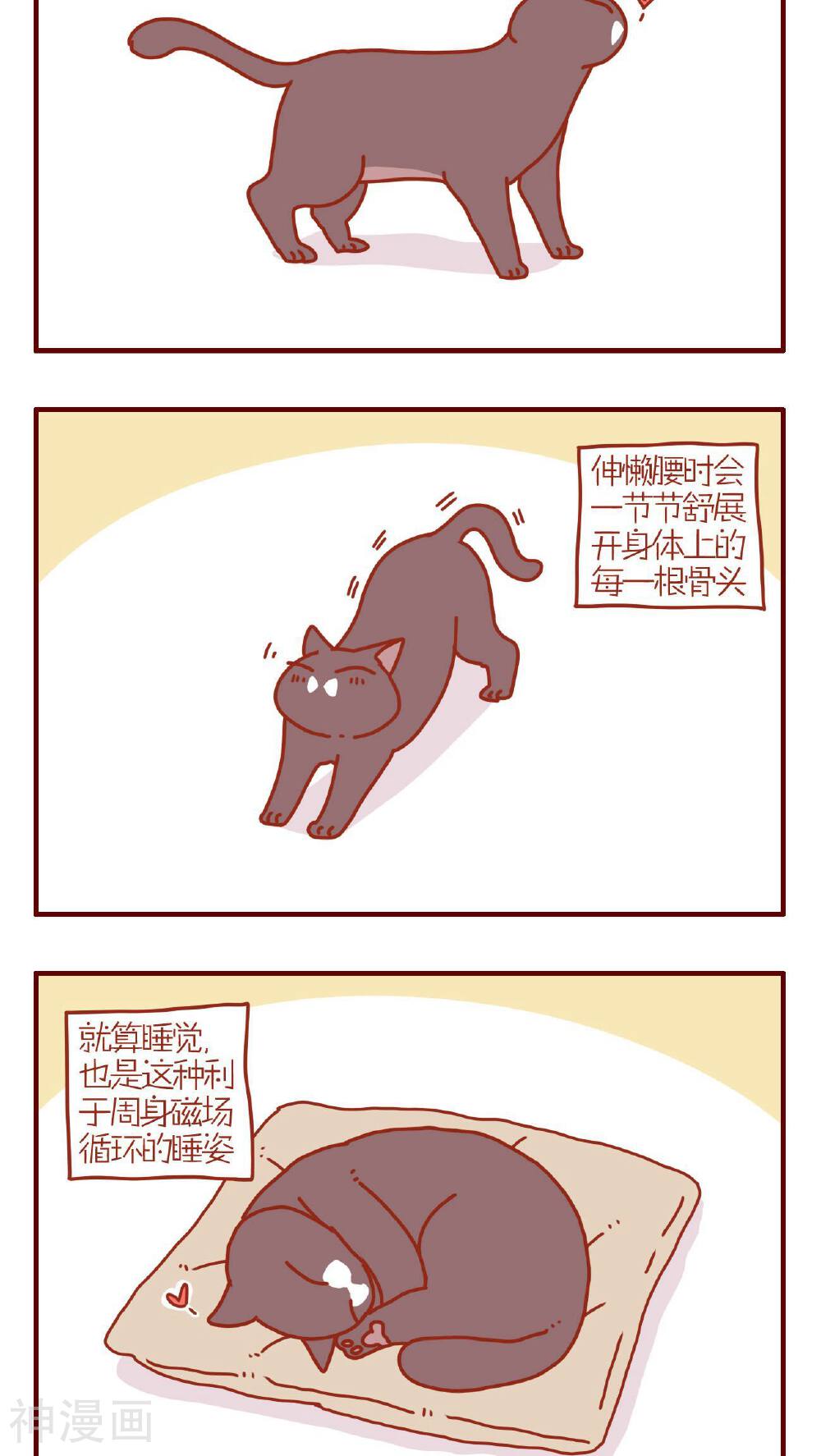 猫咪甜品屋-第196话全彩韩漫标签