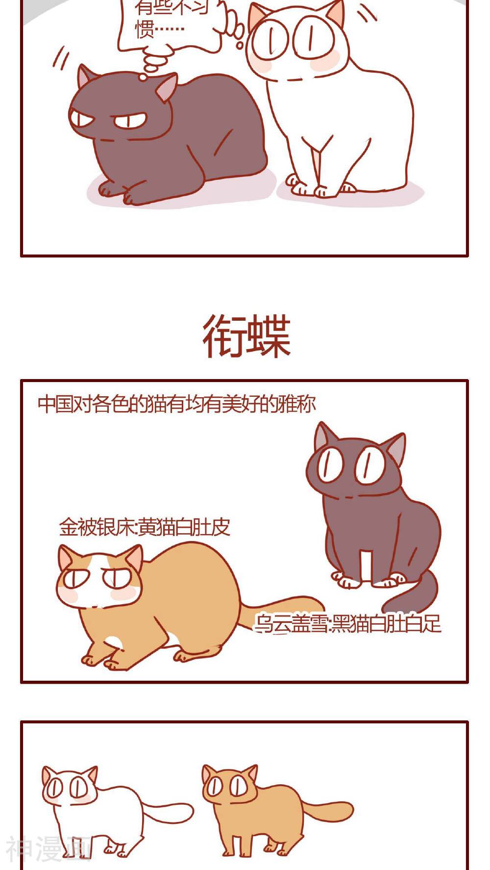 猫咪甜品屋-第19话全彩韩漫标签