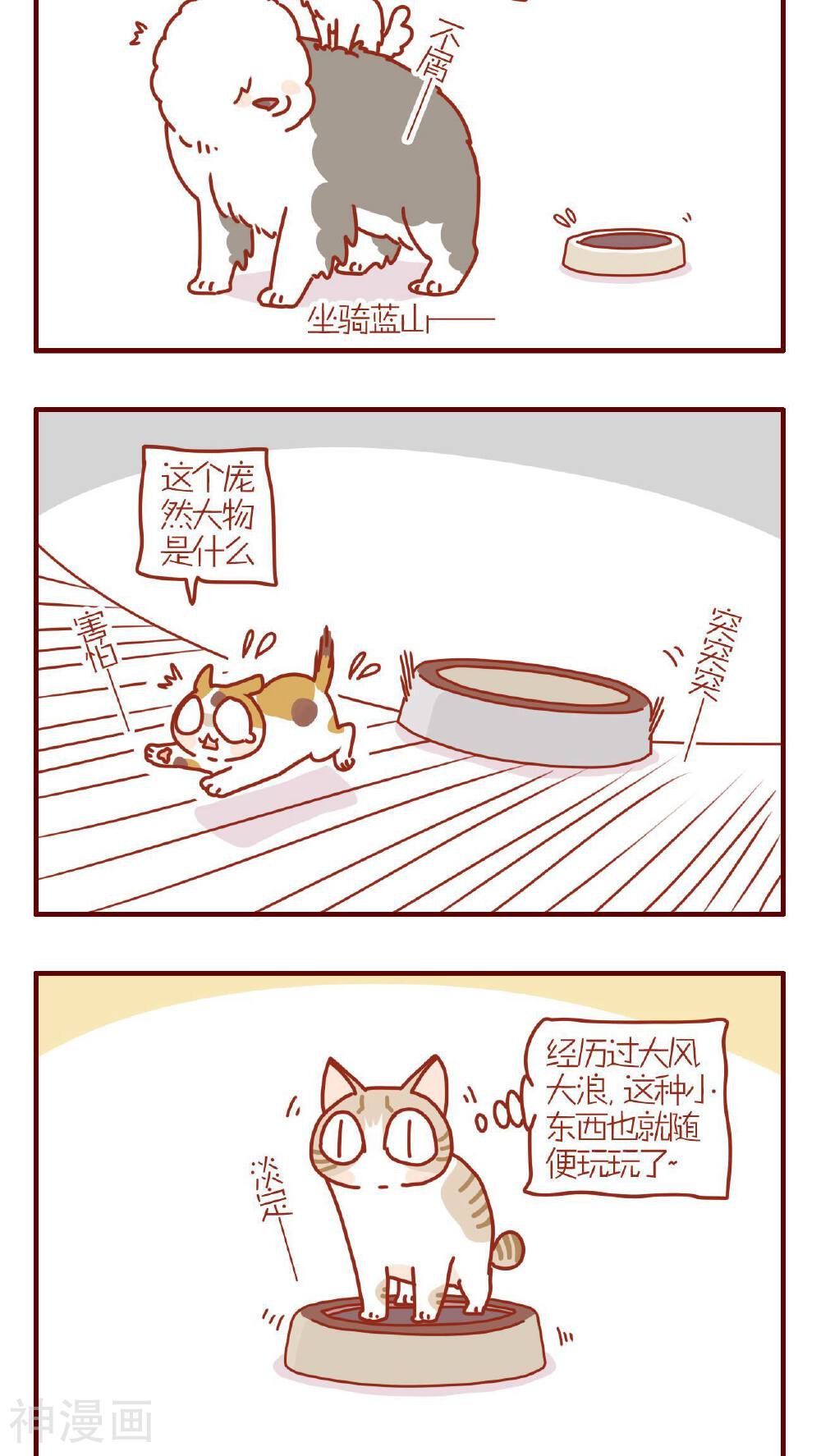 猫咪甜品屋-第201话全彩韩漫标签
