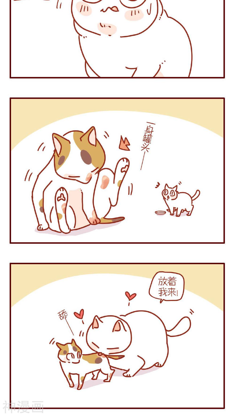 猫咪甜品屋-第235话全彩韩漫标签