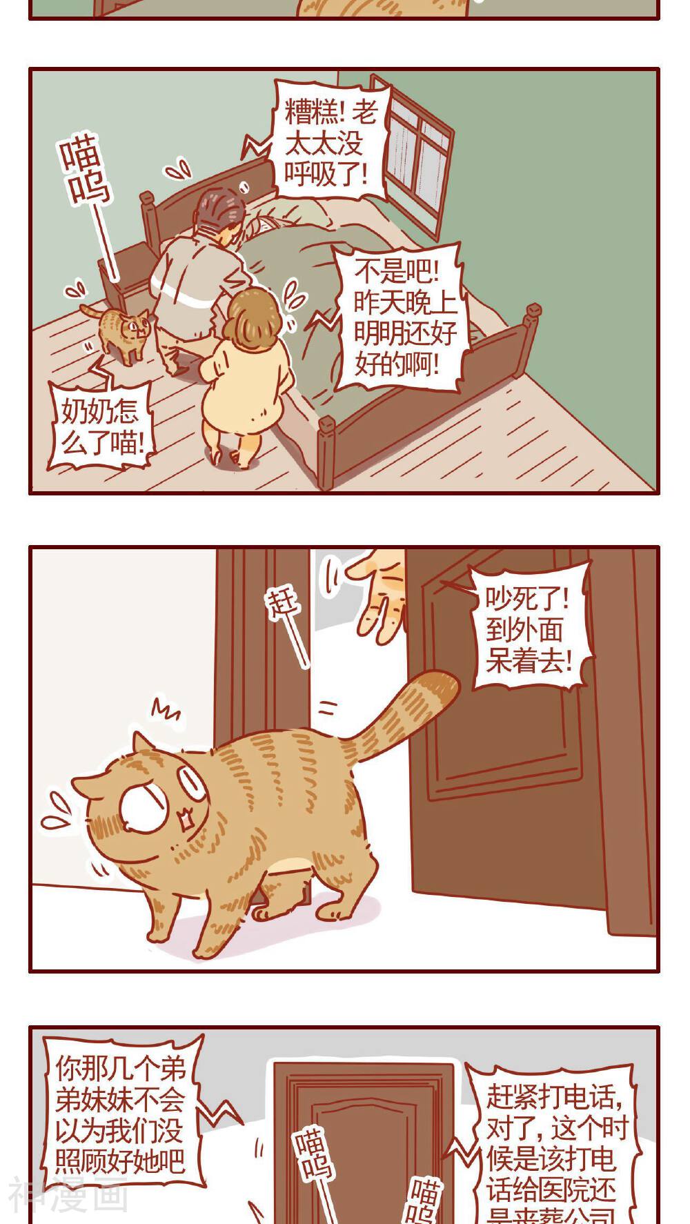 猫咪甜品屋-第278话全彩韩漫标签