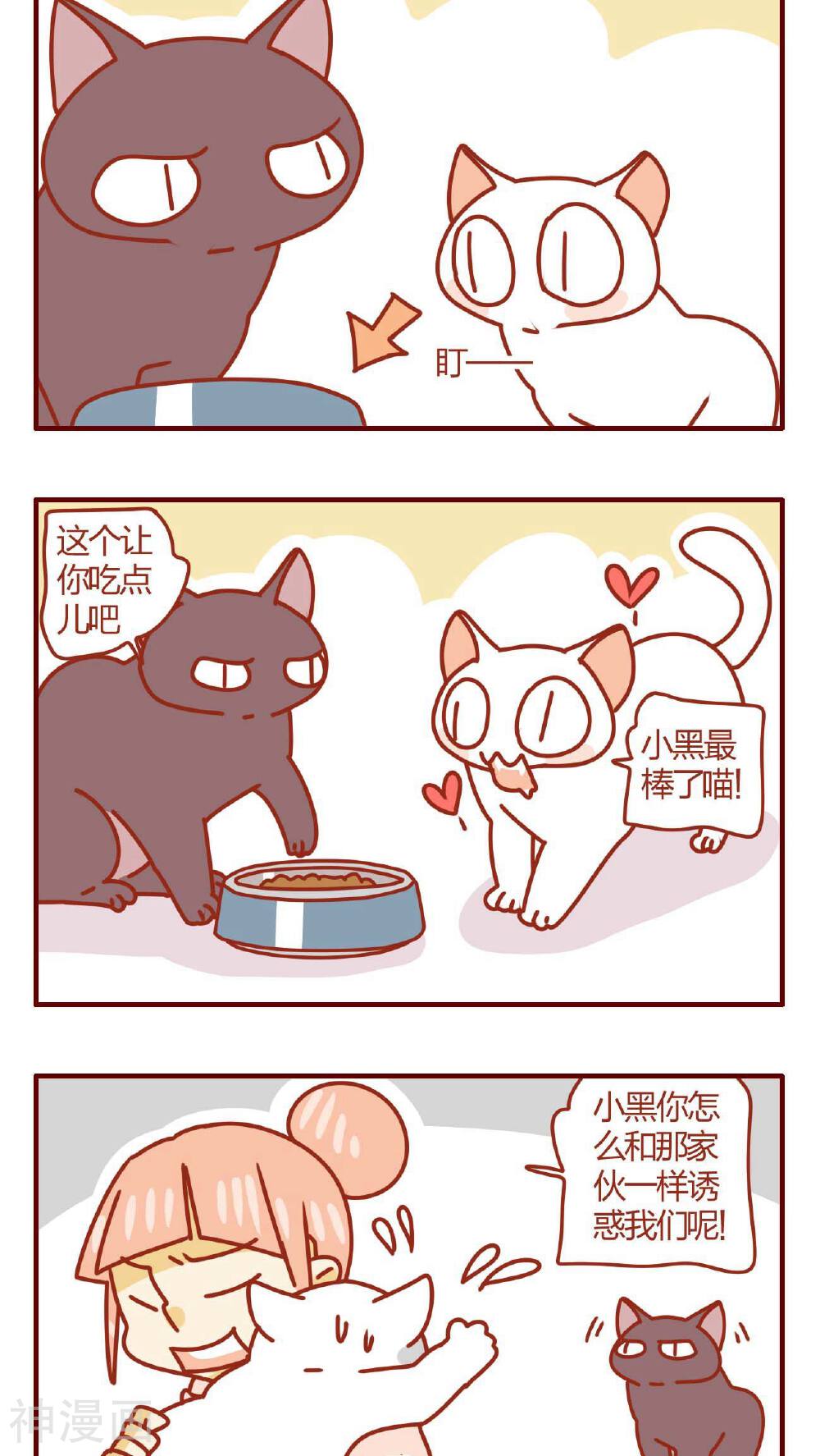 猫咪甜品屋-第28话全彩韩漫标签