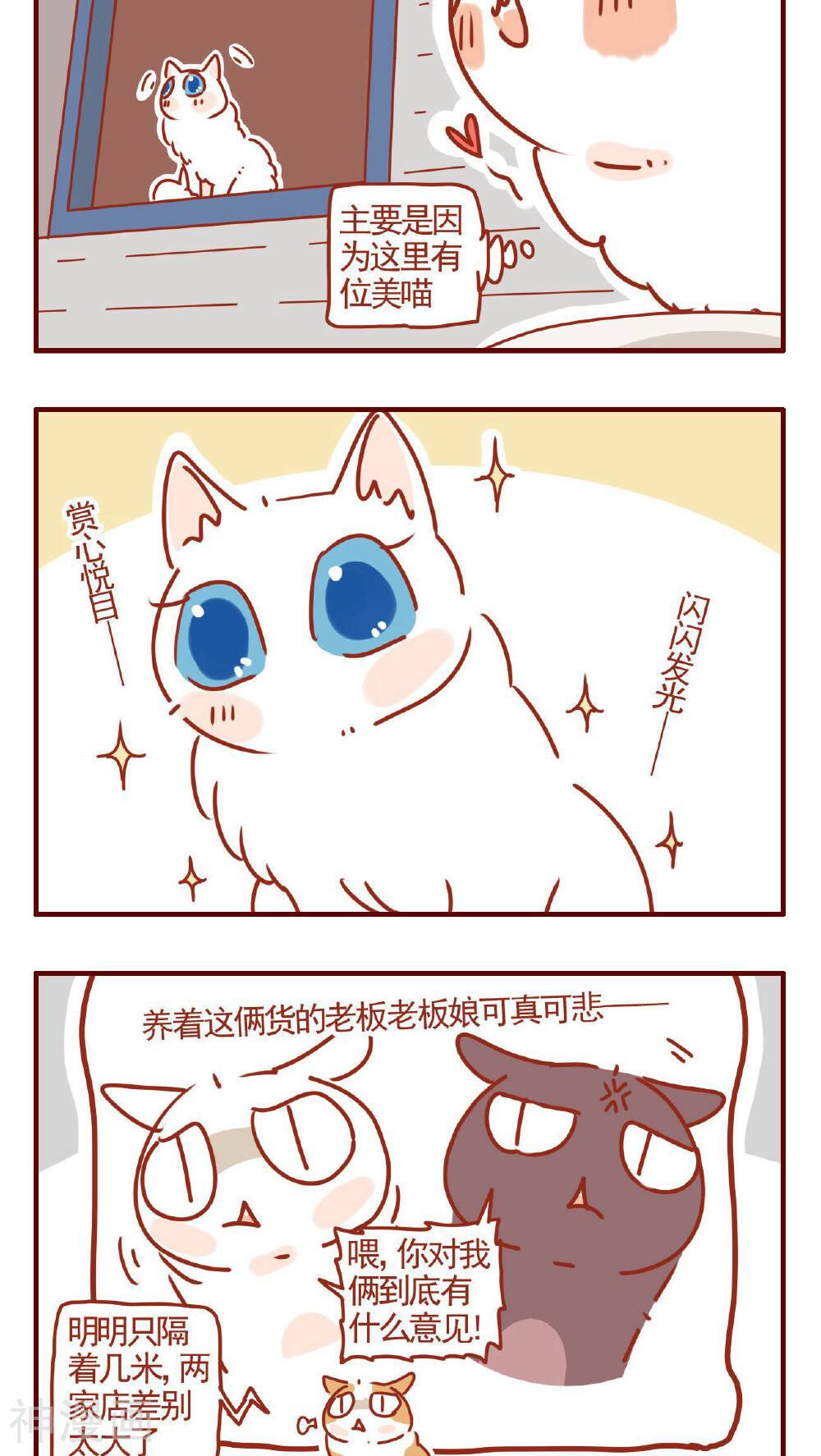 猫咪甜品屋-第316话全彩韩漫标签