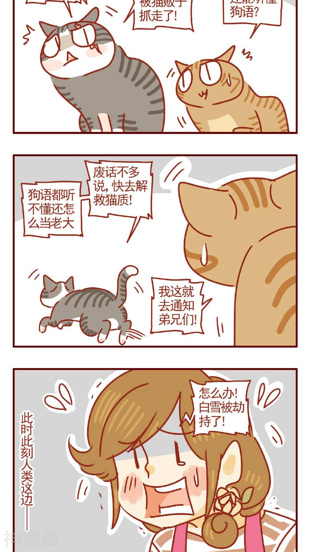猫咪甜品屋-第319话全彩韩漫标签