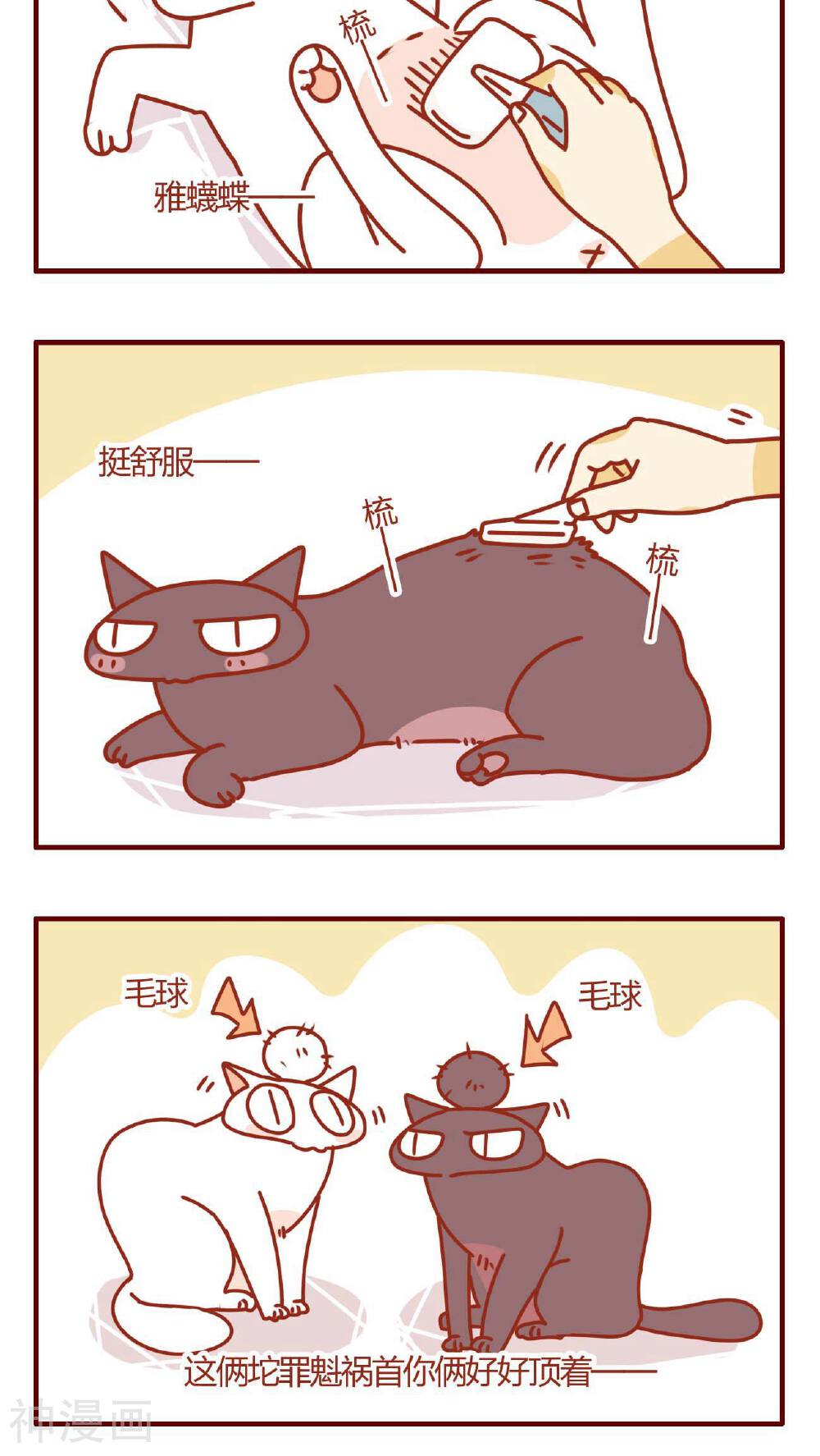 猫咪甜品屋-第5话全彩韩漫标签