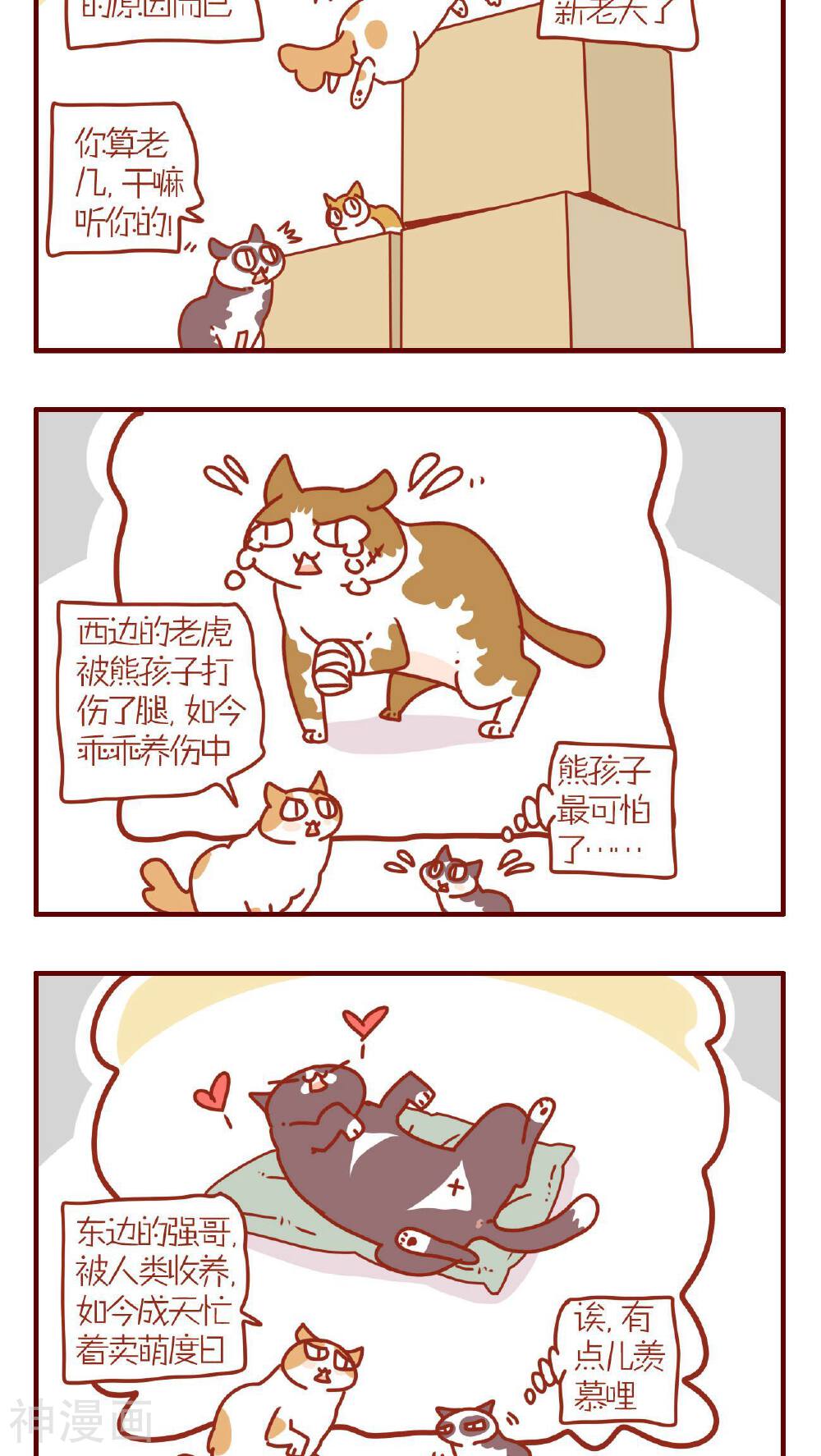 猫咪甜品屋-第77话全彩韩漫标签