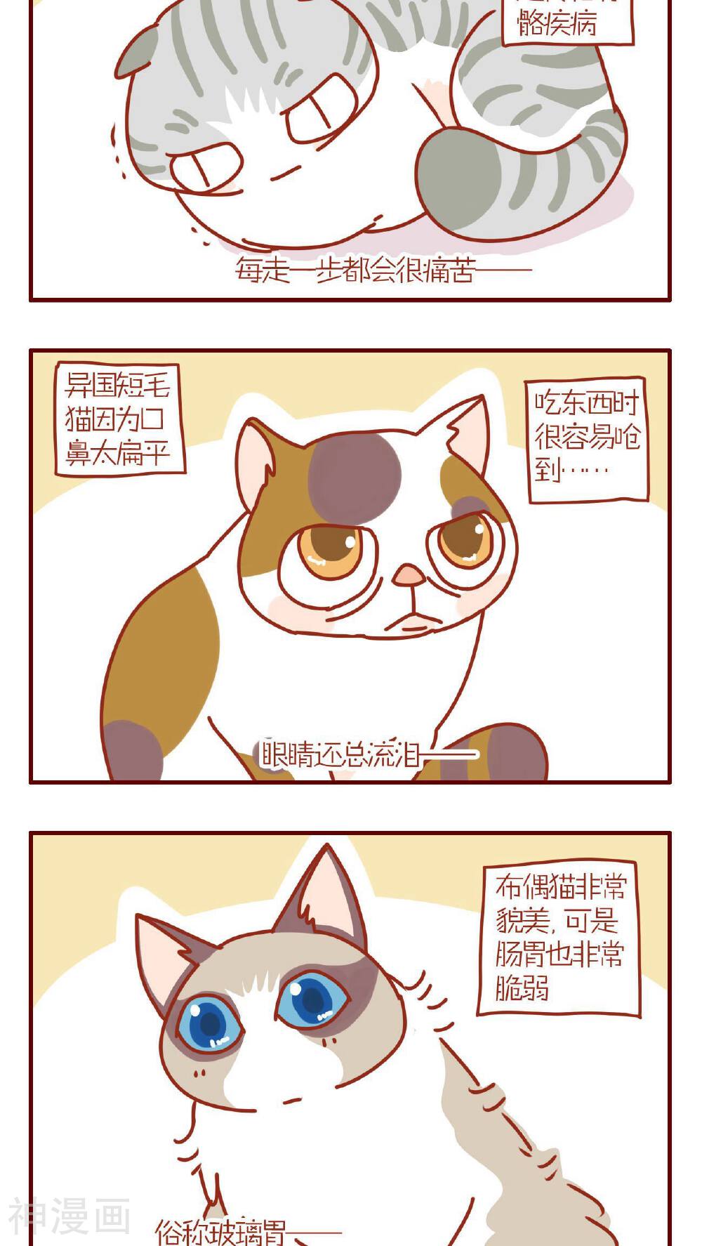 猫咪甜品屋-第95话全彩韩漫标签