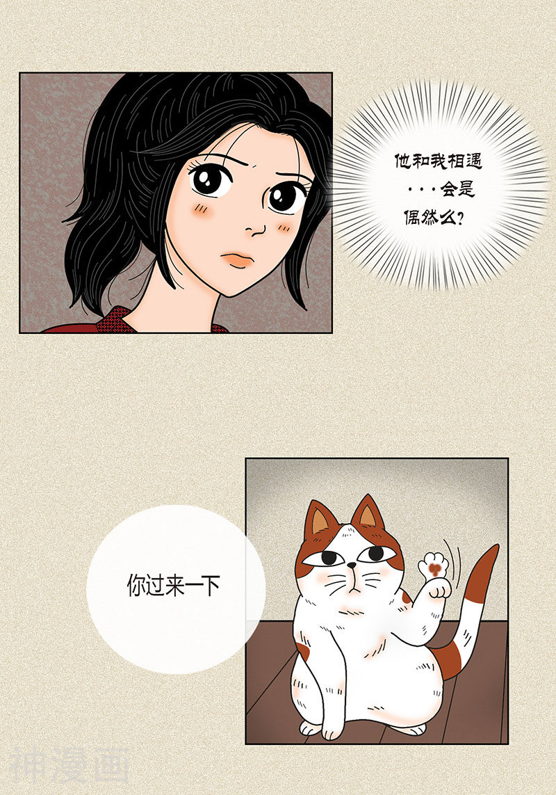 猫王子韩漫全集-第29话 调查无删减无遮挡章节图片 