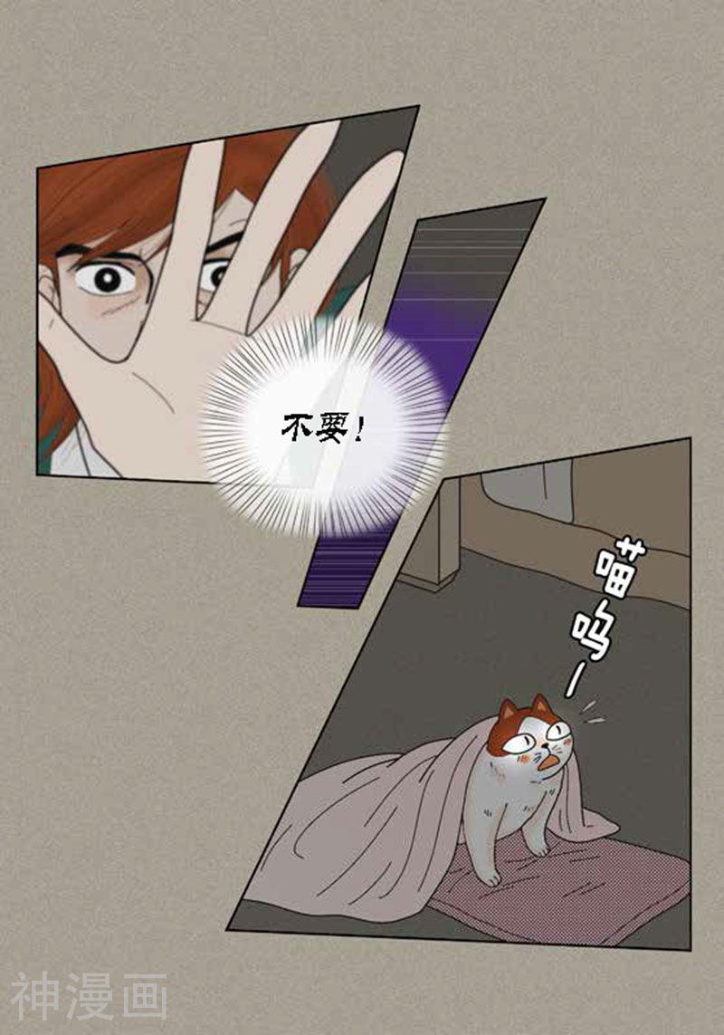 猫王子韩漫全集-第42话 被发现无删减无遮挡章节图片 