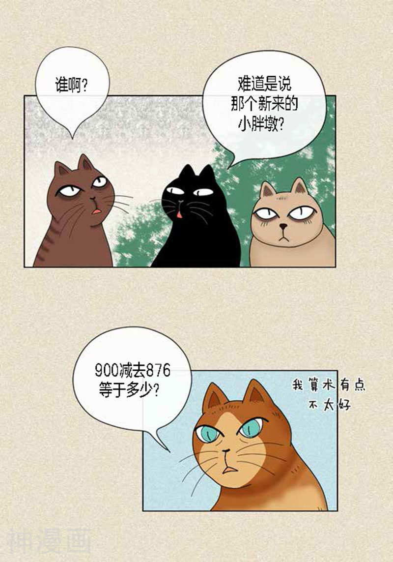 猫王子韩漫全集-第45话 猫王子的下一个目标无删减无遮挡章节图片 