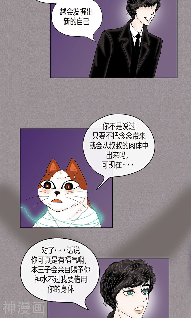 猫王子韩漫全集-第70话 大难临头无删减无遮挡章节图片 