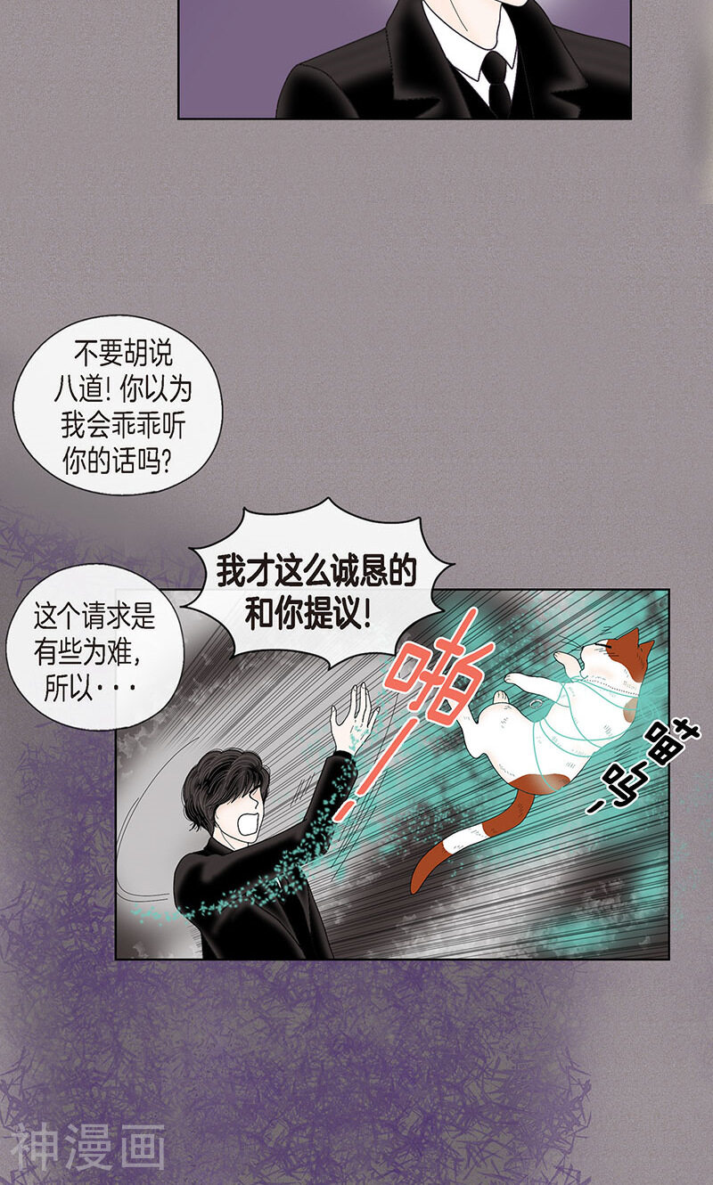猫王子韩漫全集-第70话 大难临头无删减无遮挡章节图片 