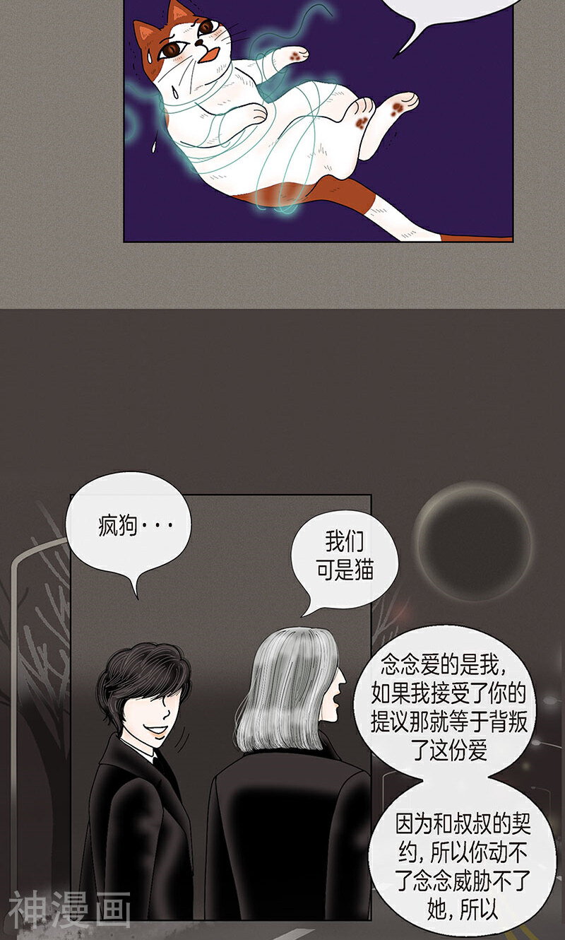 猫王子韩漫全集-第70话 大难临头无删减无遮挡章节图片 