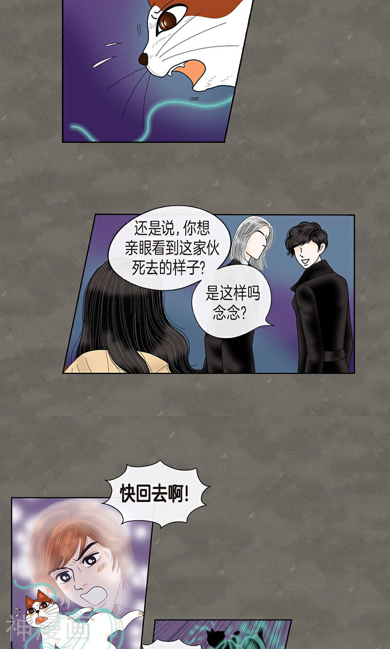 猫王子韩漫全集-第70话 大难临头无删减无遮挡章节图片 
