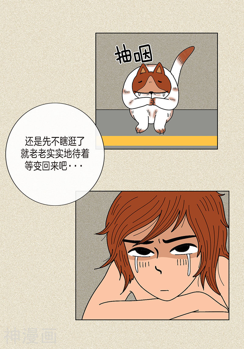 猫王子韩漫全集-第8话 “流浪”喵无删减无遮挡章节图片 