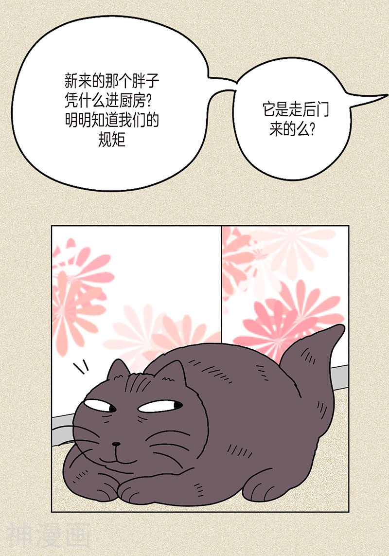 猫王子韩漫全集-第9话 走后门的油条无删减无遮挡章节图片 
