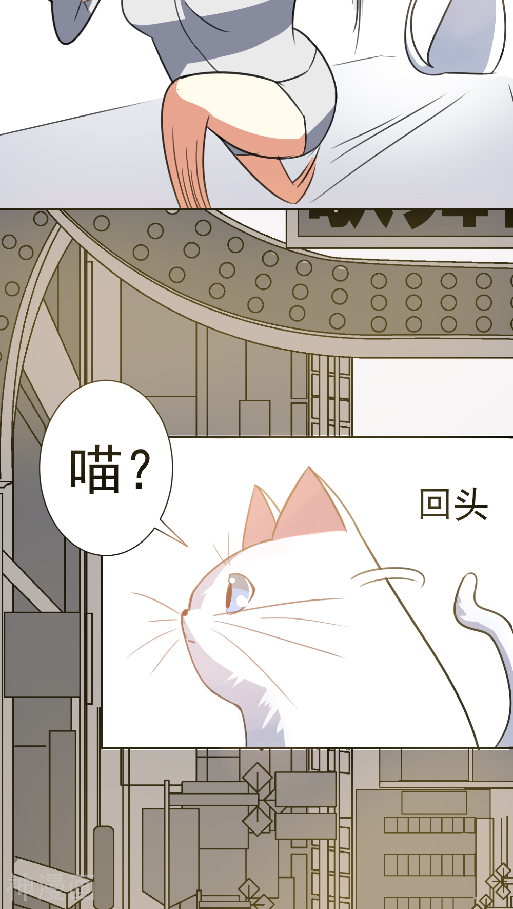猫的制作人韩漫全集-第33话无删减无遮挡章节图片 