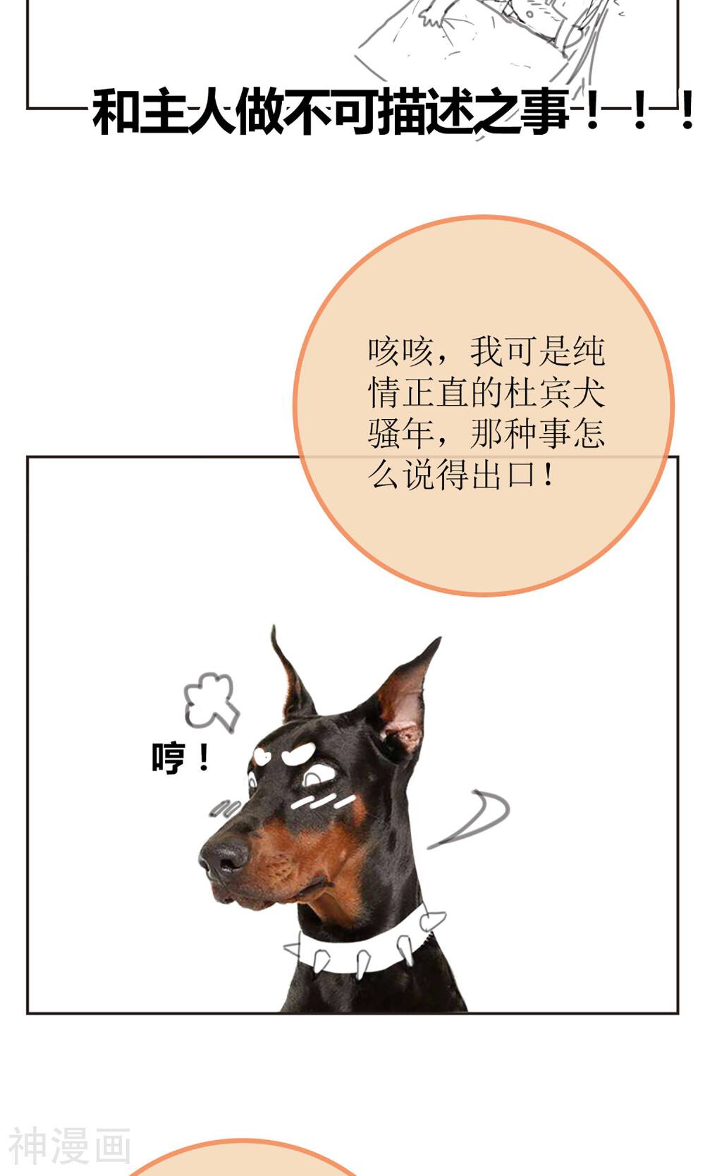 盛世宠婚：老婆你别跑韩漫全集-暖场小剧场 忠犬爱德华无删减无遮挡章节图片 