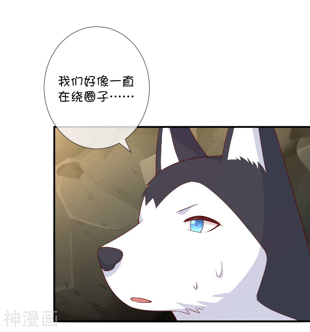 巫女的豪门生活韩漫全集-第38话 黎明前的黑暗无删减无遮挡章节图片 