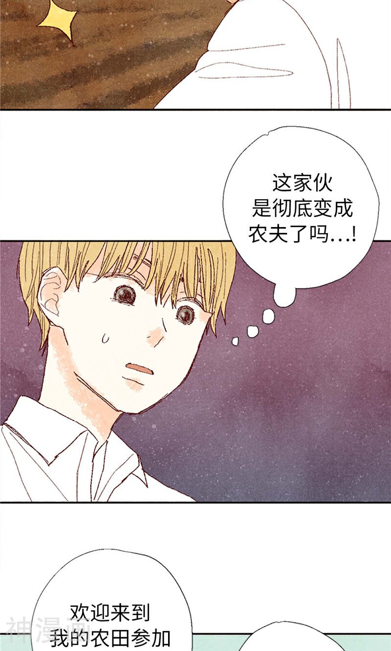 我们站在世界尽头韩漫全集-第70话 华丽的绽放无删减无遮挡章节图片 