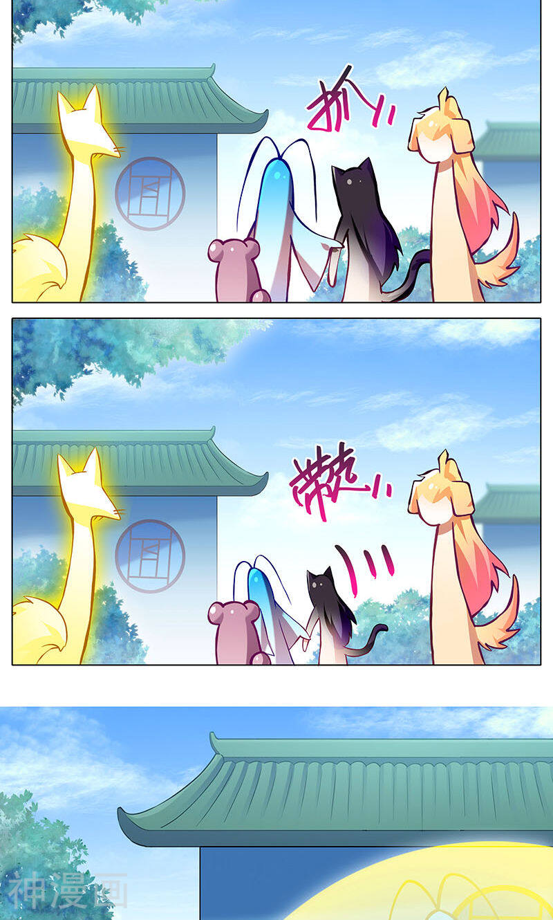 我家大师兄脑子有坑韩漫全集-第269话无删减无遮挡章节图片 