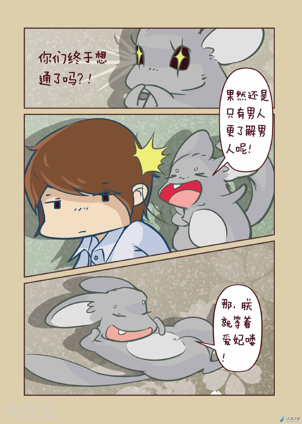 我家龙猫二三事韩漫全集-第12话无删减无遮挡章节图片 