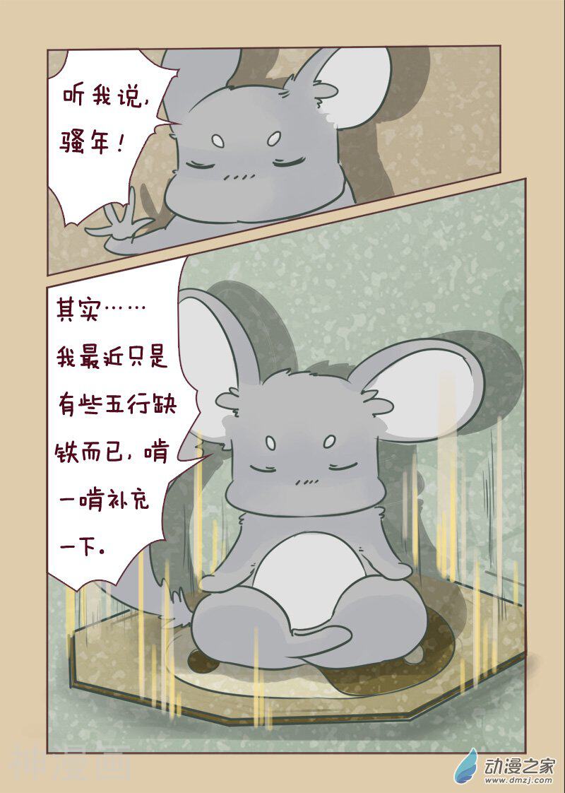 我家龙猫二三事韩漫全集-第8话无删减无遮挡章节图片 