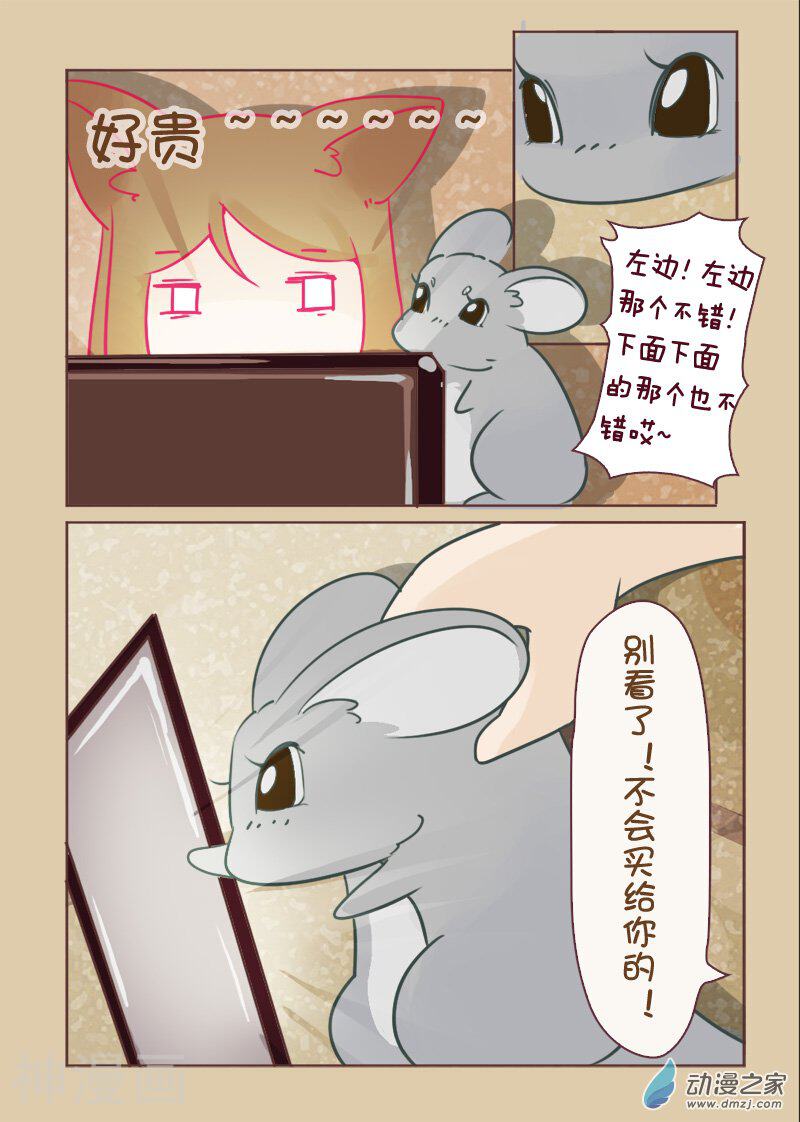 我家龙猫二三事韩漫全集-第8话无删减无遮挡章节图片 