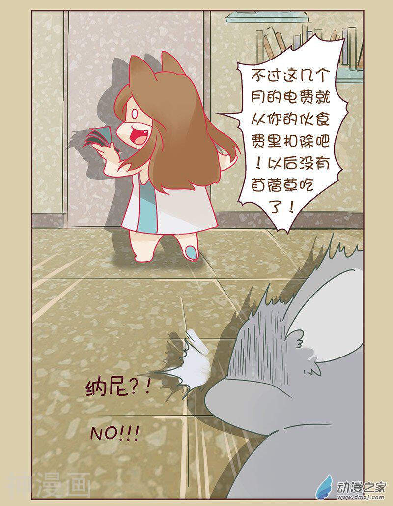 我家龙猫二三事韩漫全集-第9话无删减无遮挡章节图片 
