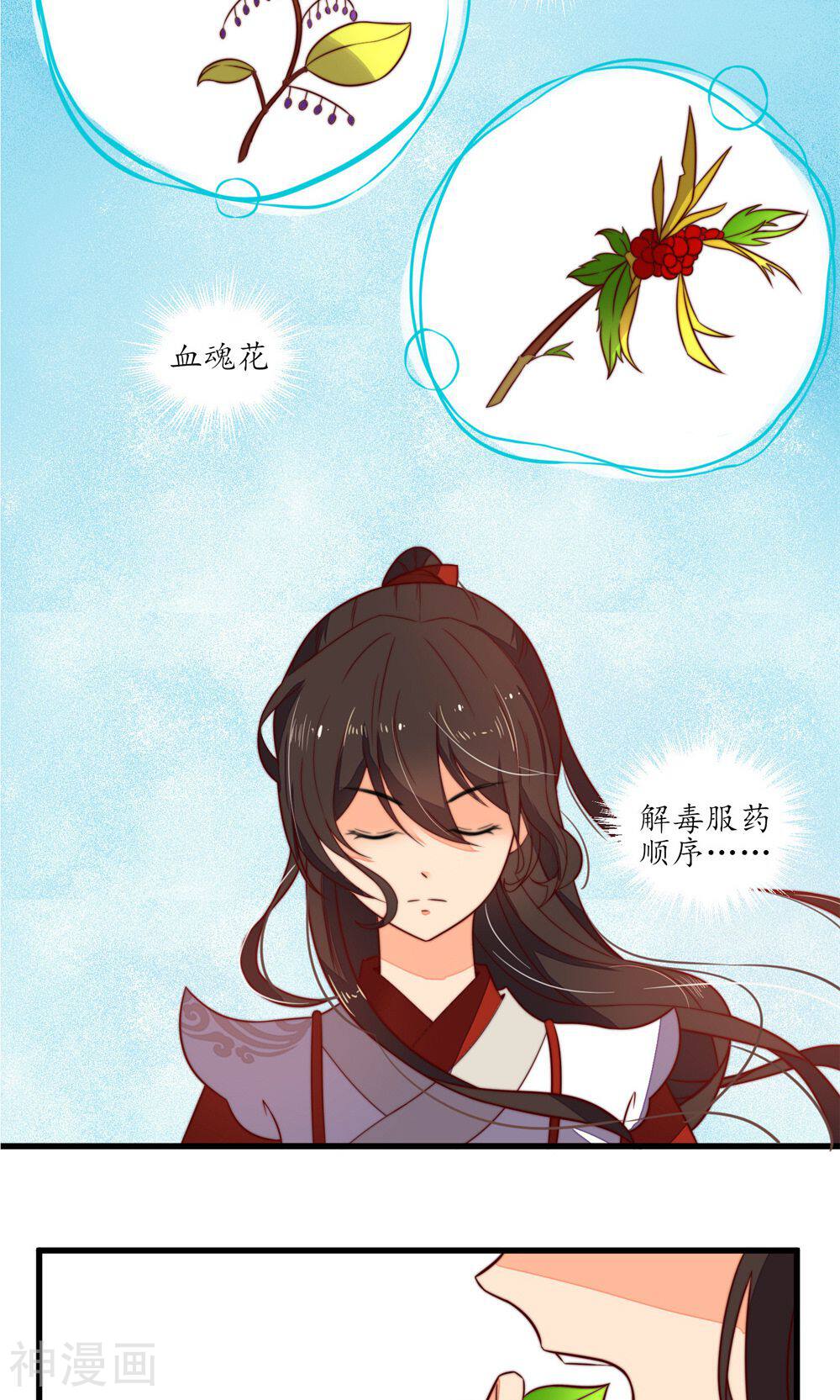 王妃的婚后指南韩漫全集-第12话 传说中的万象体无删减无遮挡章节图片 
